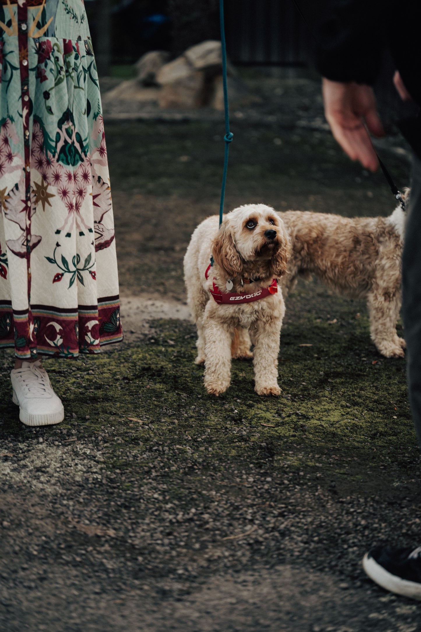 Wedding Photography Packages